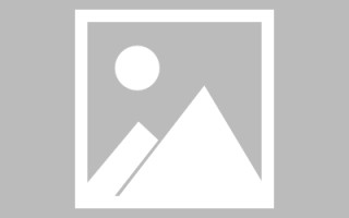 新泰编制网站建设（编制网站建设包括哪些）